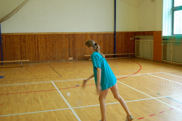 Badminton zvtit