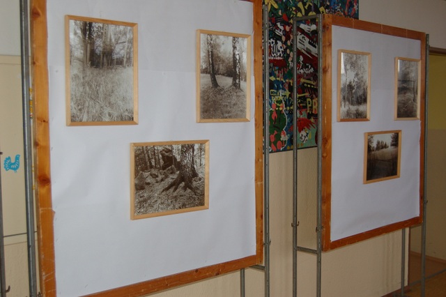 DSC_4261.JPG zvtit
